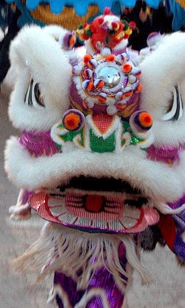 Lion dance costume