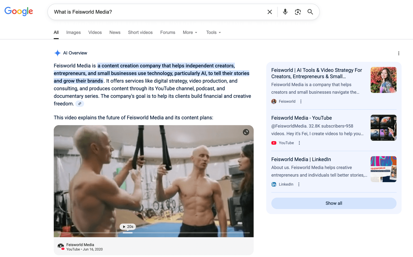 What is Feisworld Media search on Google, Google AI Overview